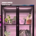 thumbnail image 2 of Grow Lights Barrina de 30 cm de espectro completo para plantas de interior, 2 of 9