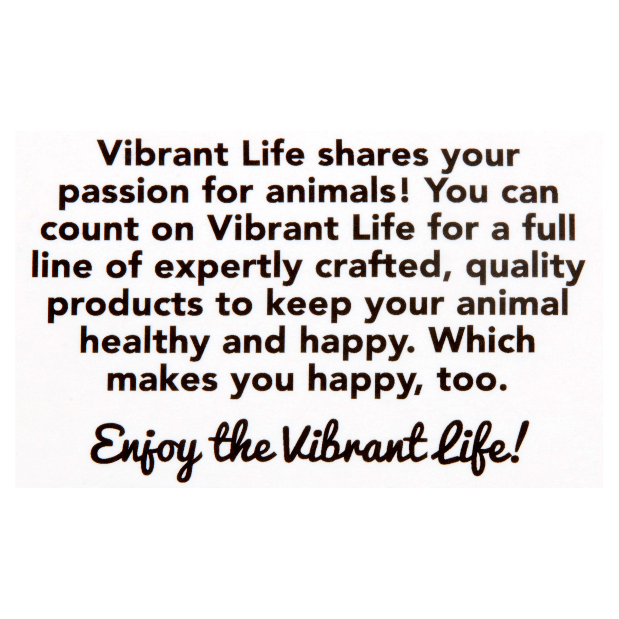 Vibrant Life Cozy Buddy Dog Toy, Characters May Vary, Chew Level 1
