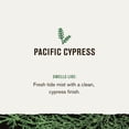 thumbnail image 4 of Gel de baño Every Man Jack Nourishing Pacific Cypress 720 ml x2, 4 of 9
