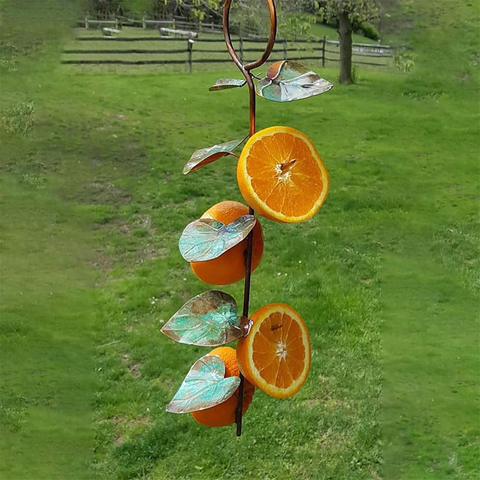 Garden Metal Hanging Feeder Outdoor Jelly and Orange Bird Feeder