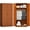 34" W x 17" D x 71" H - Brown, variant on SOLAURA 2-Door Metal Freestanding Wardrobe Cabinet,71" H x 32" W x 16" D,White