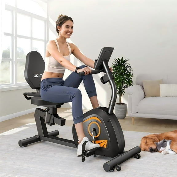 Recumbent Exercise Bike for Home,Stationary Bikes with Adjust Seat,Exercise Bike for Seniors,Home Magnetic Recumbent Bike with 300LB Capacity & 8-level Resistance, LCD Monitor and Heart Rate Handle