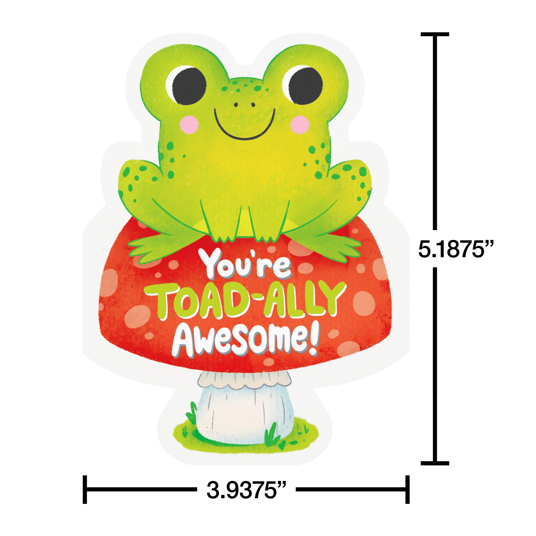 American Greetings All Occasion Stationery Note Multi-pack, Snailed It (2-Designs, 50-Count)