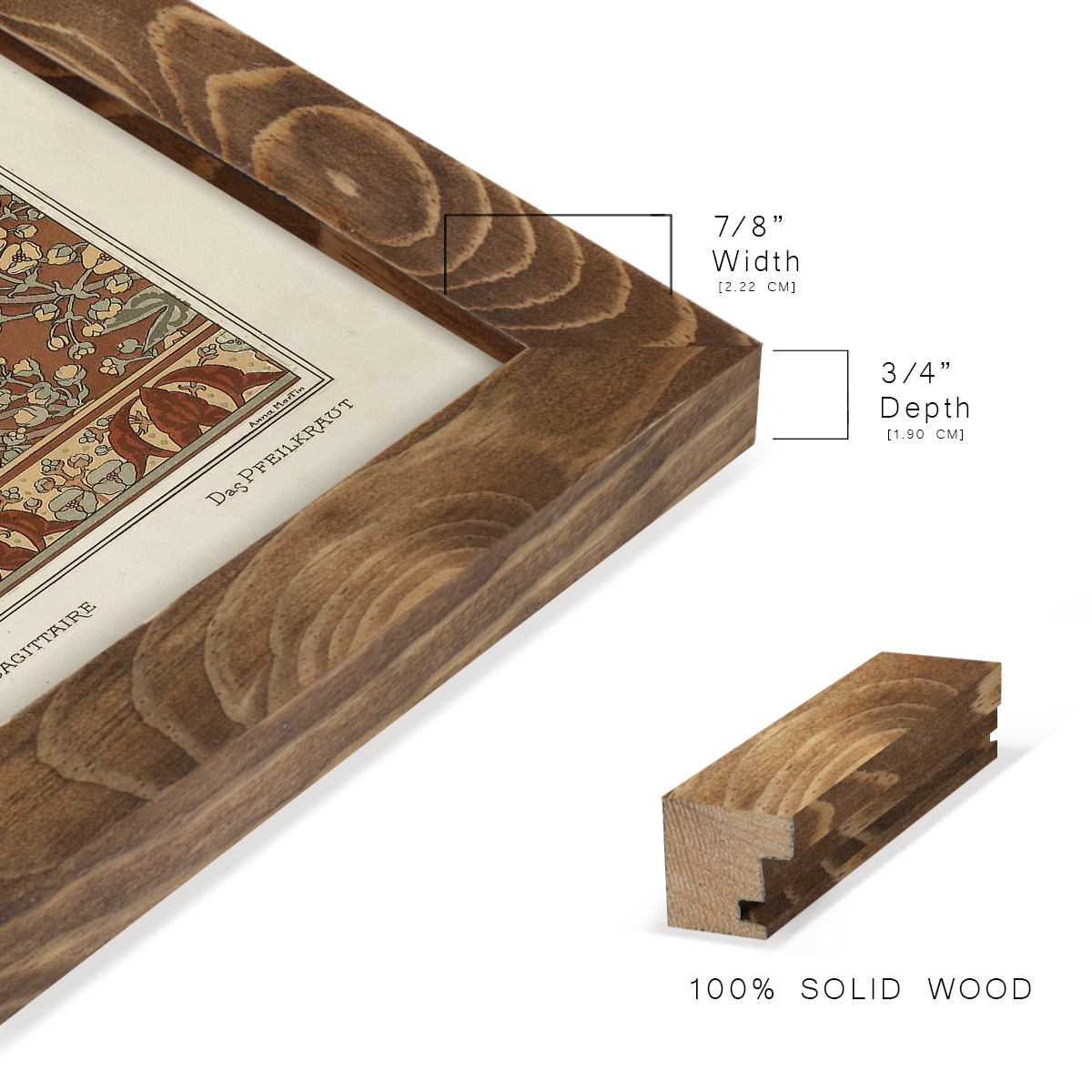Nouveau Decorative II - Framed Print w/glass - Walnut