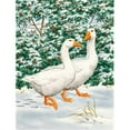 thumbnail image 1 of Carolines Treasures ASA2012GF Geese Flag Garden Size, 1 of 3