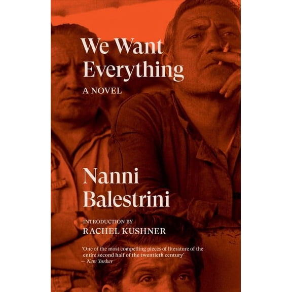 Verso Fiction: We Want Everything : A Novel (Paperback)
