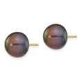 thumbnail image 2 of Real 14kt Yellow Gold 10-11mm Black Button FW Cultured Pearl Stud Post Earrings; for Adults and Teens; for Women and Men, 2 of 3