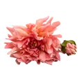 thumbnail image 2 of Flor Mainstays Artificial Dalia Anaranjado, 2 of 4
