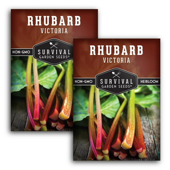 2 packs Victoria Rhubarb Seeds - Non-GMO Heirloom Full Sun Perennial Vegetable