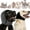 Black+Gray, variant on Zenpup Noise Cancelling Ear Wrap, Noise Protection Firework Thunder, Elastic Dog Ear Wrap with Sound-Blocking Rubber Pads, No Shake, Adjustable (Black+Gray, Small)