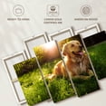 thumbnail image 6 of Elephant Stock Sunny Golden Retriever Wall Art - Horizontal Multi Panel Canvas - Living Room Wall Decor - Animal Multi Panel - Green And Orange Decor - 75" x 48", 6 of 8