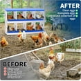 thumbnail image 5 of M optimized Chicken Nesting Box, 8 Compartments Galvanized Steel Metal Chicken Laying Box with Roll Out Egg Collection, Wall Mount Hen Roosting Boxes, 5 of 8