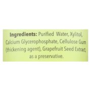Xlear Spry Kid's Fluoride Free Tooth Gel Toothpaste, Original, 2 Oz