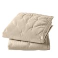 thumbnail image 3 of Better Homes & Gardens Tan Soft Velvet Embroidered Pillow Shams, King (2 Count), 3 of 6