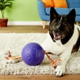 thumbnail image 7 of Jolly Pets Romp-N-Roll Ball, 7 of 7