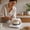 White, variant on Sourdough Warmer 12H Timer Temp Control Dough Proofing Station Digital Display Heating Mat for Home Baking Fermentation