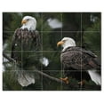 thumbnail image 1 of Bird Ceramic Tile Mural Kitchen Backsplash Bathroom Shower, 402067-S54, 1 of 3