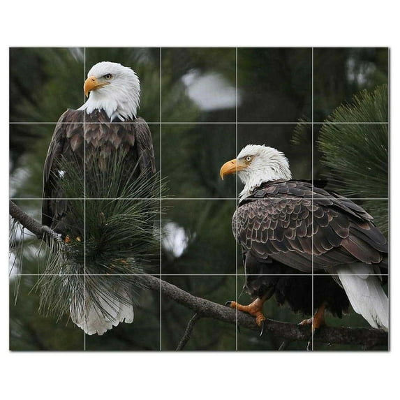 Bird Ceramic Tile Mural Kitchen Backsplash Bathroom Shower, 402067-S54