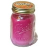 Skeeter Beeter 12 Ounce Pink Citronella Outdoor Mason Jar Candle