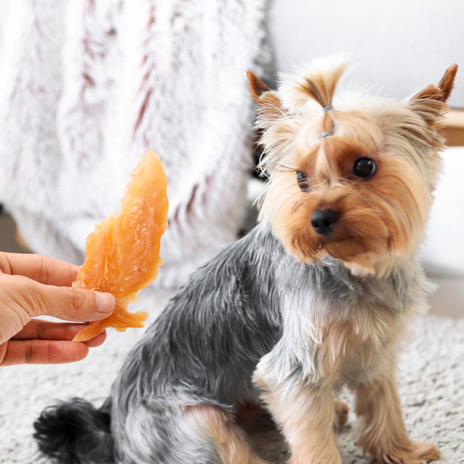 MON2SUN Chicken Jerky Slice Dog Treats, 14 oz