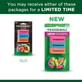 thumbnail image 6 of Dixon Eraser Combo Set, Neon, Beveled & Wedge Caps, 8 Sets, 6 of 6