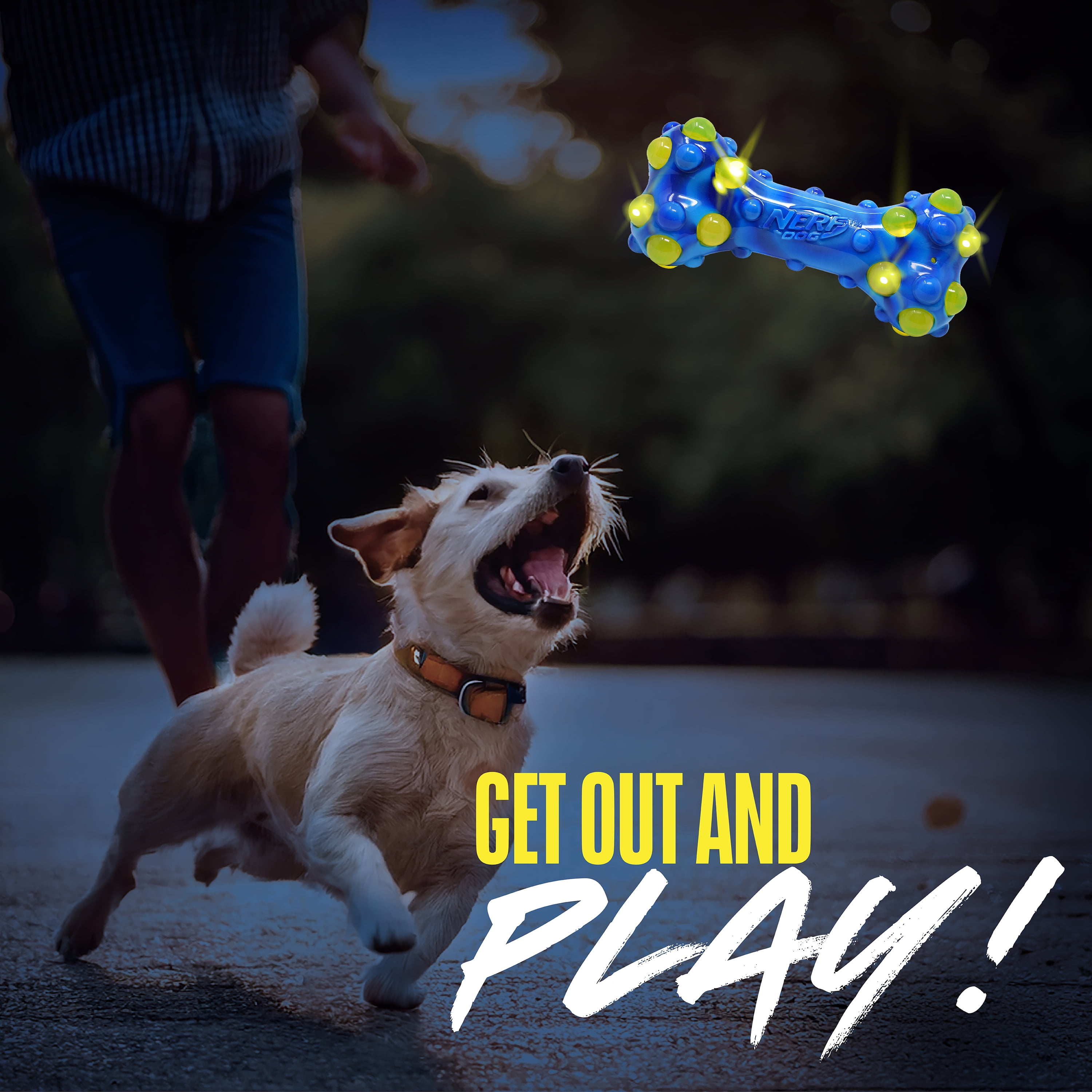 Nerf Dog TPR Bubble Light Up & Squeak Bone, 7 inch