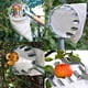 thumbnail image 5 of Buy 2 get 10% off Fruit Picking Machine, Fruit Picking Device, Fruit Picking Tool, High Altitude Picking Device, Garden Fruit Picking, 5 of 5