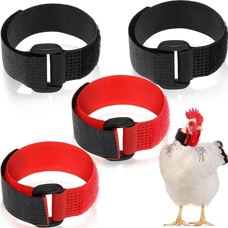 Qianli 4pcs Chicken Collars Rooster Collars Adjustable Chicken Collars