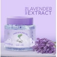 thumbnail image 6 of (3 pack) Natural Lavender Hair Styling Gel 8.8 oz, 6 of 12