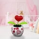 thumbnail image 3 of BRI Flores danzantes alimentadas por energía Solar, adorno oscilante, Bobblehead eléctrico, juguete de flores solares para decoración del hogar y el coche, regalo, 3 of 7