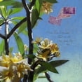 thumbnail image 2 of Novak, Rick 12x12 Gold Ornate Wood Framed with Double Matting Museum Art Print Titled - Plumeria and Postage IV, 2 of 4