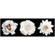thumbnail image 2 of Cuadro Decorativo Flores, 2 of 4