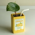 planter-pots-plant-pot-indoor-plant-pots-with-drainage-plant-pots
