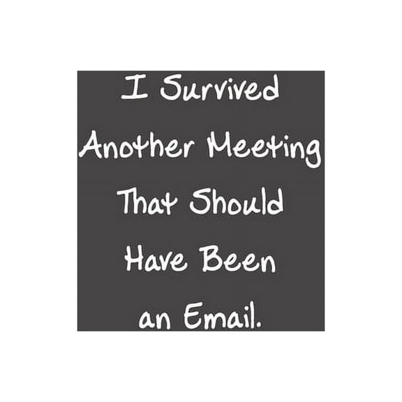 I Survived Another Meeting That Should Have Been An Email: Funny Office Gifts For Coworker