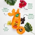 thumbnail image 4 of Nyle Naturals Damage Repair Anti Hairfall Shampoo, With Shikakai And Hibiscus,Gentle And Soft Shampoo, Ph Balanced And Paraben Free, For Men And Women, 400Ml, 4 of 4