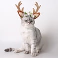 thumbnail image 2 of Mascota perro gato cuernos diadema aro Cosplay disfraz Halloween Nad accesorio Sunnimix Cinta de perro de perro, 2 of 8