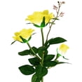 thumbnail image 1 of Xihbxyly Lámpara Led para Exteriores, Luz Solar para Flores, Carga Automática Durante El Día, Luz Cálida para Jardín, Diseño Impermeable Ip44, Led Blanco, 80 Cm de Altura, Batería Recargable, Ilumina, 1 of 1