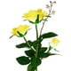 thumbnail image 1 of Xihbxyly Lámpara Led para Exteriores, Luz Solar para Flores, Carga Automática Durante El Día, Luz Cálida para Jardín, Diseño Impermeable Ip44, Led Blanco, 80 Cm de Altura, Batería Recargable, Ilumina, 1 of 1
