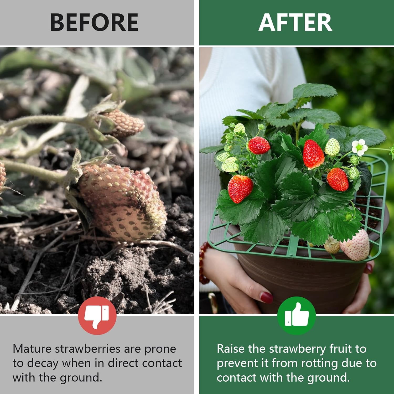 10 Pack Strawberry Supports - Strawberry Plant Support Stand Strawberry Growing Racks Protector Strawberry Growing Frame Holder Cage Helps Support and Prevent Rotting (Green)