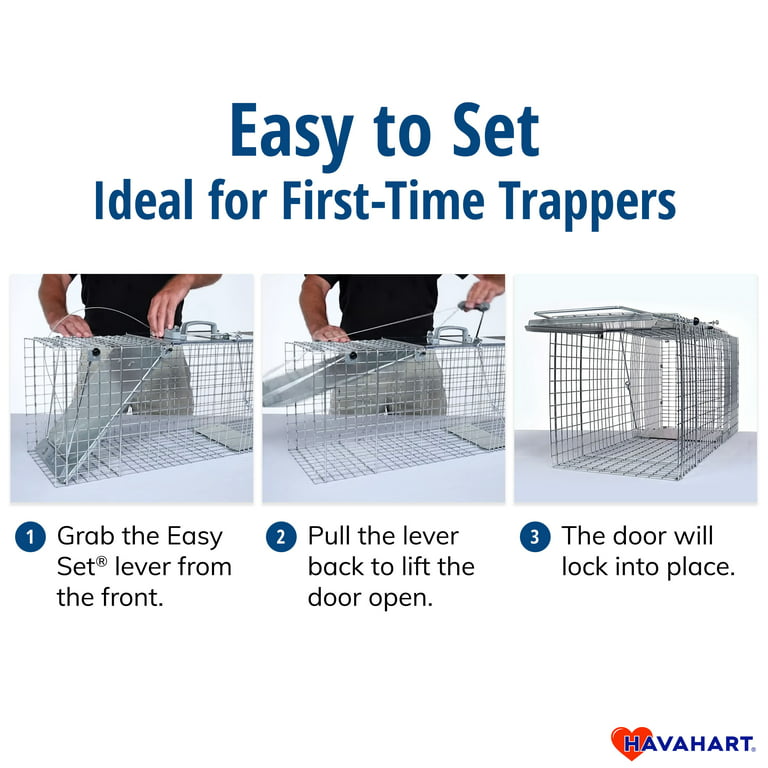 Havahart® Large 1-Door Collapsible Easy Set® Trap