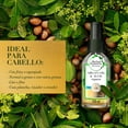 thumbnail image 3 of Herbal Essences Bio:Renew Argan Oil & Aloe Mezcla de Aceite para el Cabello 100 ml, 3 of 5