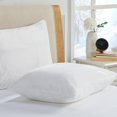thumbnail image 1 of Triodream - Juego de 2 fundas de almohada de terciopelo ultra suave tama&ntilde;o queen, fundas de almohada s&uacute;per suaves y acogedoras con cierre de cierre oculto, fundas de almohada de, 1 of 9