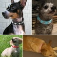 thumbnail image 5 of Skksst Bling Rhinestone Pet Collar Chihuahua Puppy Dog Kitten Cat PU Leather Necklace, 5 of 5