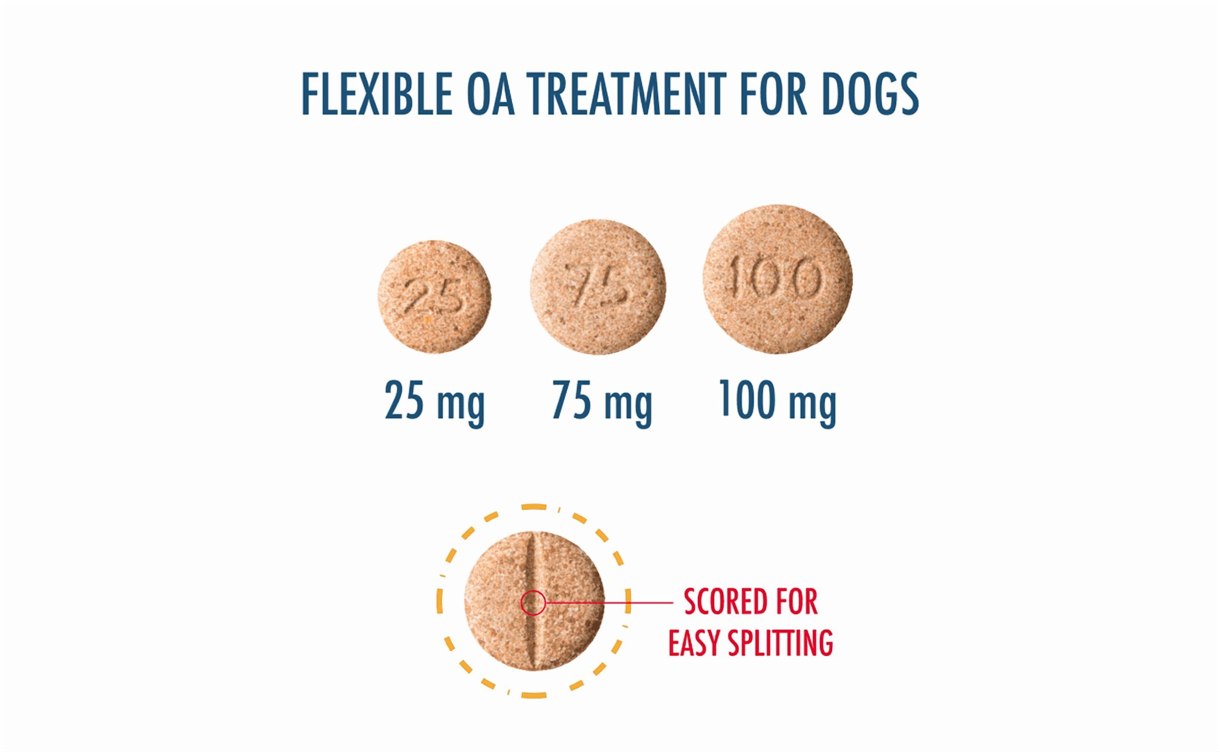 Carprieve (Carprofen) Chewable Tablets, 100 mg, Inflammation and Pain Relief for Dogs
