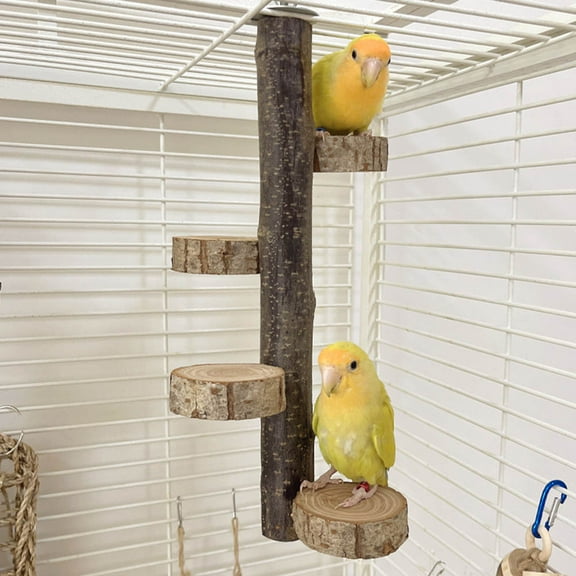 PAMINGONO Parrot Wood Platform Parrot Bird Perch Stand Natural 1Pcs 12x6in