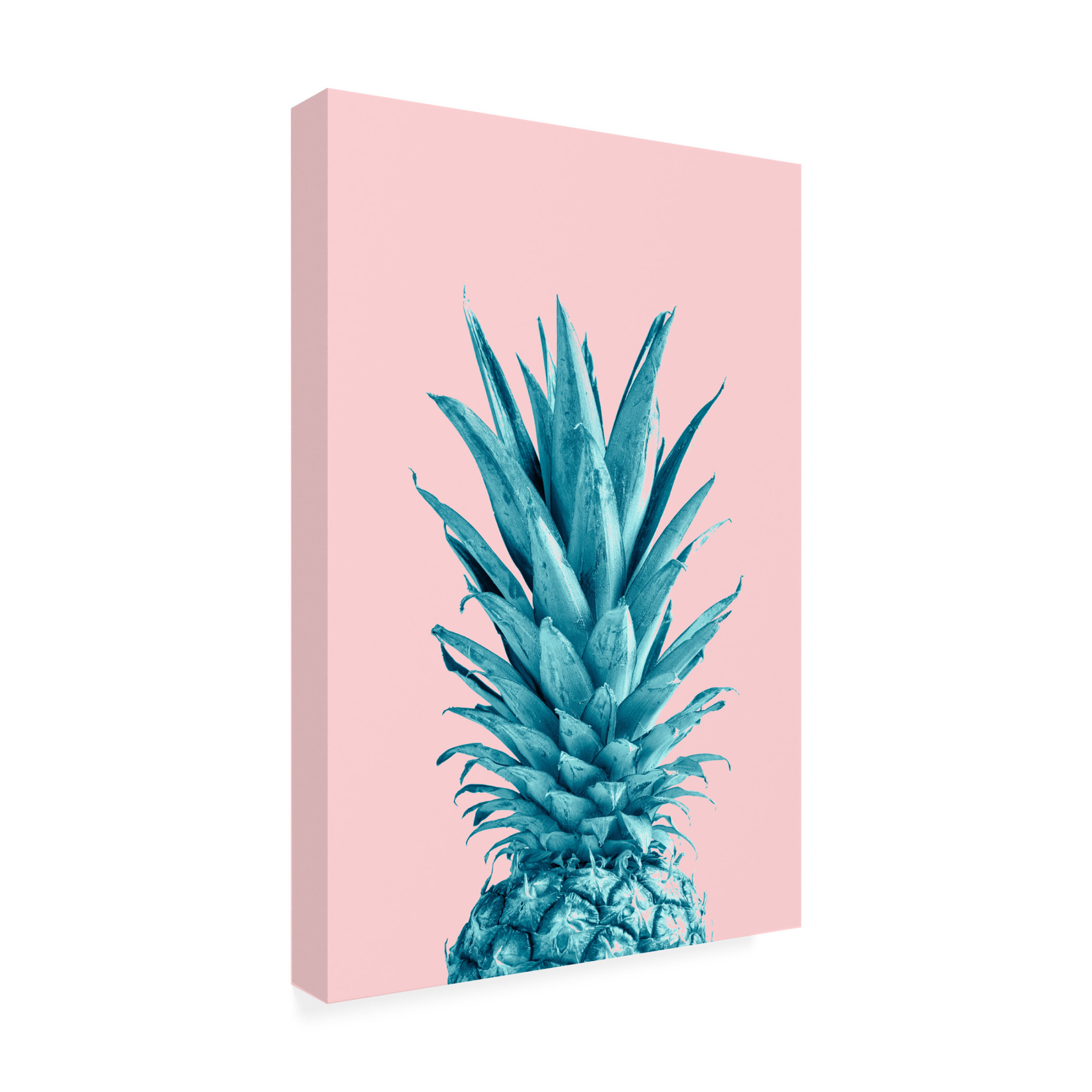 Trademark Fine Art Pictufy Studio Pineapple Pink 07 Canvas Wall Art