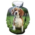 thumbnail image 5 of Sudadera con capucha con estampado 3D de perro y beagle para hombre, divertida sudadera informal de manga larga, sudadera con capucha fresca para otoño y primavera, 5 of 5