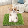 thumbnail image 1 of Alfombra de césped Artificial, almohadilla para orinar para perros, almohadilla de entrenamiento, alfombra de césped para cachorros para decoración de 4 cm de altura, 1 of 9