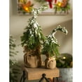 thumbnail image 3 of Evergreen Beautiful Christmas Snow Covered Tree in Burlap Pot Table Top Decor, Set of 2 - 6x6x15 in Indoor/Outdoor Decoration, 3 of 5