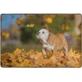 thumbnail image 4 of Dreamtimes Cute Fall Bulldog Area Rug 36x24in Yellow Maple Leaf Non-Slip Floor Carpet Comfort Floor Mats Decor for Indoor Living Dining Room and Bedroom Area, 4 of 7